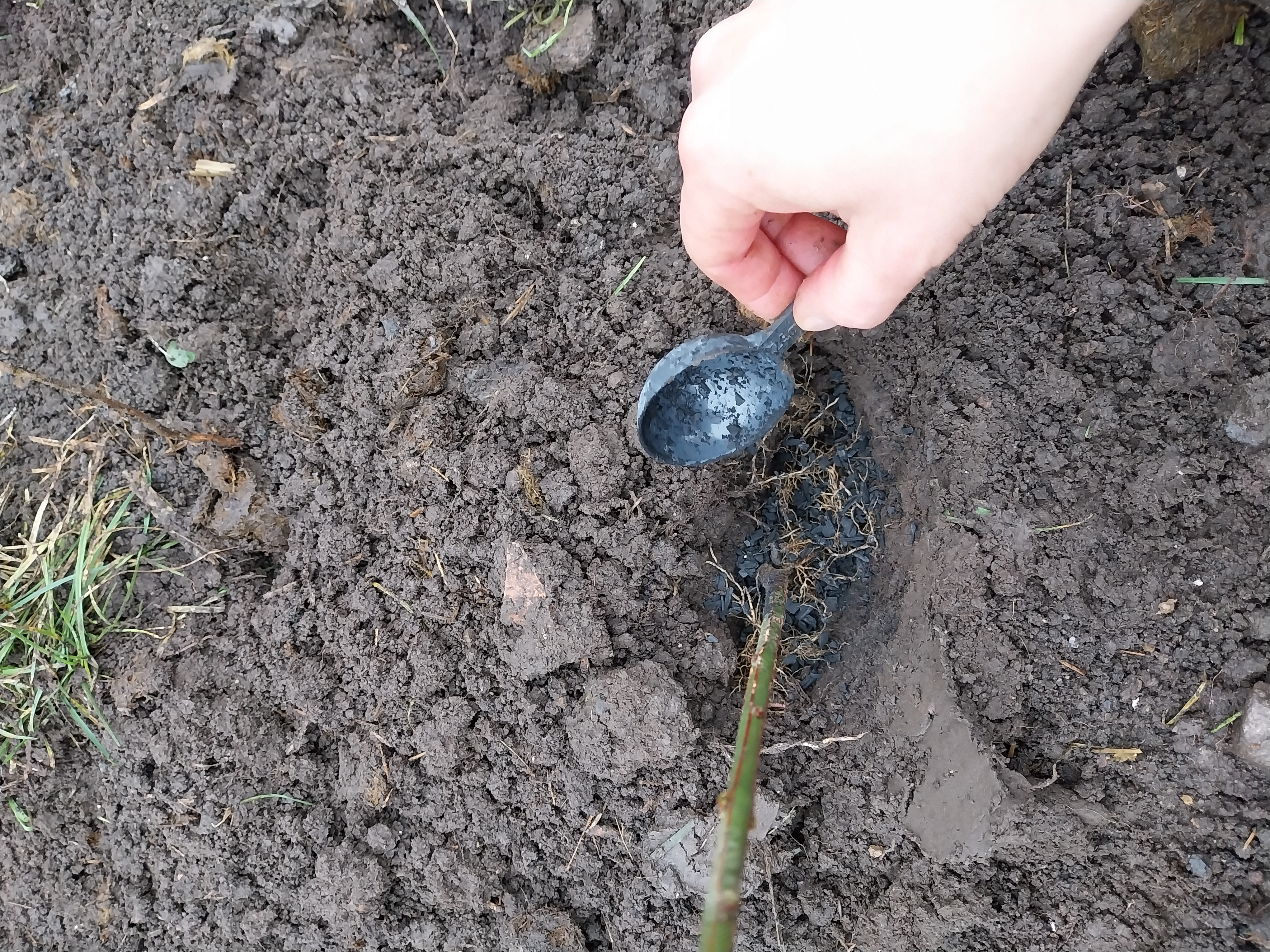 Soil trial Maidstone