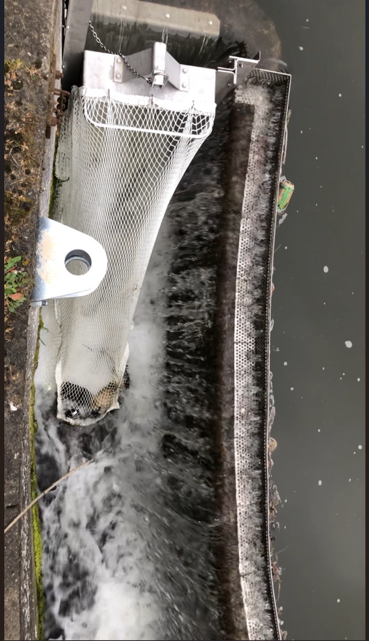Drain Sock Waste Capture